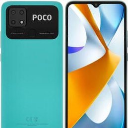 �����, ������, 33 ����