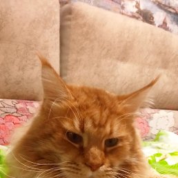 ���� �����, �������, 51 ��� - ��������� 26 ������� 2023