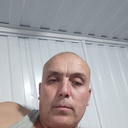  , 48, 