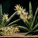 ���� ��������, �����, 60 ��� - ��������� 3 ������� 2026 � ������ ������ ��������