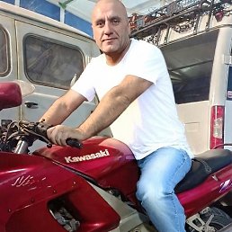 �������, ������, 46 ���