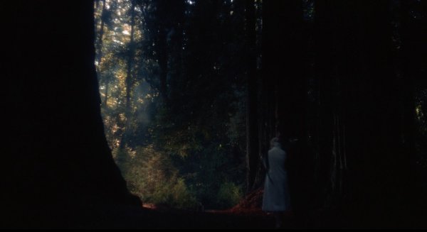 �������������� / Vertigo, 1958.���. Alfred Hitchcock - 6