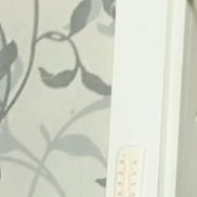 �������, 39 ���, ������