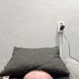 , 41,  