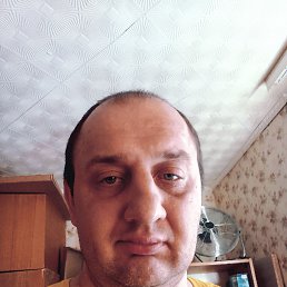 , 41, 