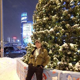 �����, ������, 46 ���