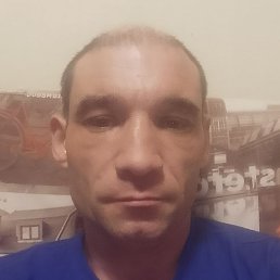 ����, ������, 41 ���