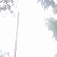 , 38 , 