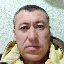 �������, ���������, 39 ���