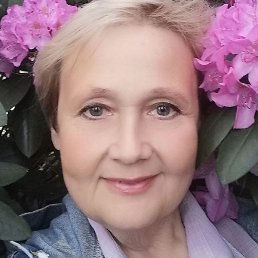 ��������, ���������, 54 ����