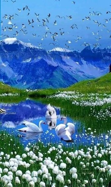 ₪╬═►  ||  ||  ◄═╬₪ - 9  2023  07:53