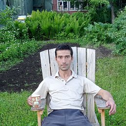 , 41, 