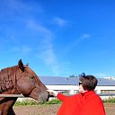  ,  , 60  -  19  2025    