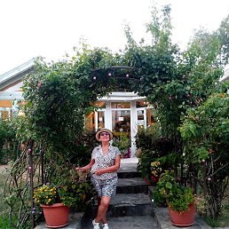 ��������, ��������, 67 ���