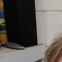 ����, ����������, 55 ���