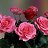 ���� ������, ������, 57 ��� - ��������� 14 ������� 2024