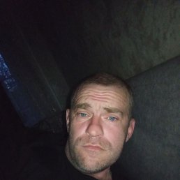  , 41, 