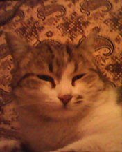 ���� �������, �����, 64 ���� - ��������� 27 ������� 2023