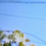 ������, 59 ���, ����