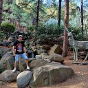  , --, 53  -  16  2025