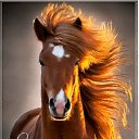 ���� �����, �����-���������, 57 ��� - ��������� 1 ������ 2026