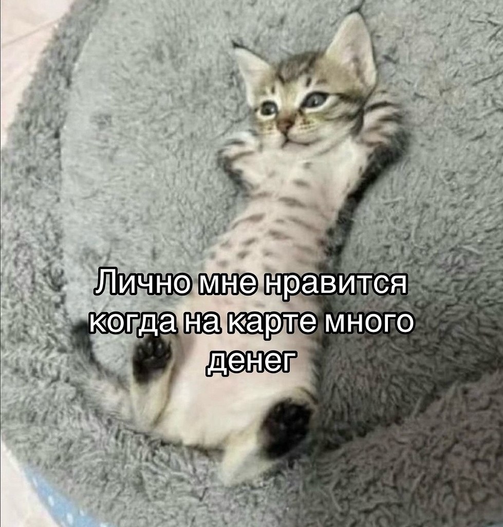 �������. - 27 ������ 2026 � 14:04 - 2