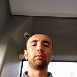 , 31,  