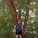 ���� �����, ������, 37 ��� - ��������� 20 ���� 2025 � ������ ���� ����������