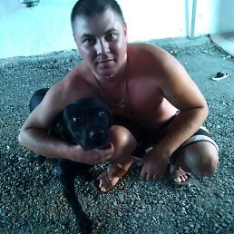 ����, ������, 40 ���