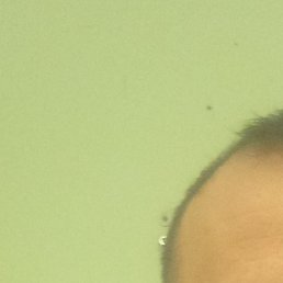 ����, ������, 36 ���