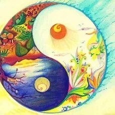       .  ( ..) 24  2025 .  ...