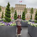 ���� ��������, �����-��������� - ��������� 28 ���� 2026 � ������ ���� ����������