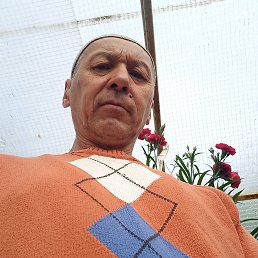 , 57, 