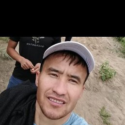 , 33, 