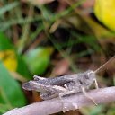 ���� �����, ���������, 50 ��� - ��������� 5 ������� 2025 � ������ �������� �������..�