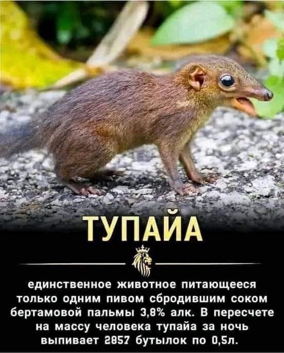  - 5  2025  10:24