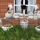 �������� �������! �� ������� ���� ����������