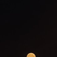 , 33 , 