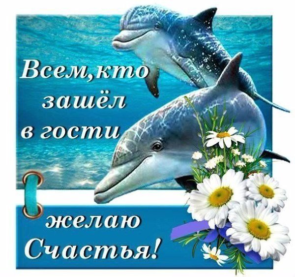 ������ ������� - 1 ���� 2026 � 16:41