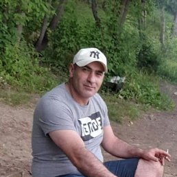 , 44, 