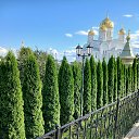 ������� 10.08.2026 � �� ������� ���� ����������