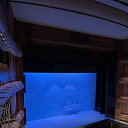 ���� �����, �����-���������, 51 ��� - ��������� 11 ����� 2024 � ������ �����������