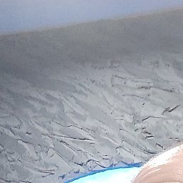 ����, ����, 42 ����