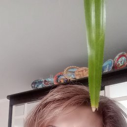 , 43 , 