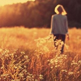 �������, ������, 59 ���