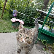 , 35 , 
