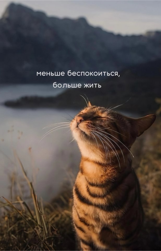 Просто то, что надо помнить - 8