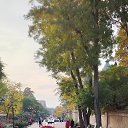 ���� �����, ���������� - ��������� 17 ������� 2026 � ������ ���� ����������
