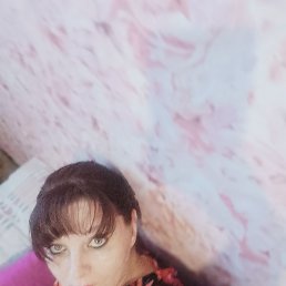 , 41 , 