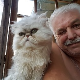 Vladimir, ���������, 62 ����